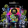 Holster Ice Kaktuz 200g – CLOUD9store